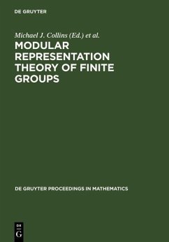 Modular Representation Theory of Finite Groups (eBook, PDF)