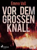 Vor dem großen Knall (eBook, ePUB)