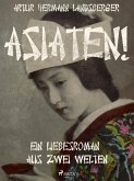 Asiaten! Ein Liebesroman aus zwei Welten (eBook, ePUB)