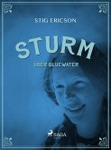 Sturm über Bluewater (eBook, ePUB)