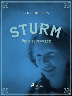 Sturm über Bluewater (eBook, ePUB) - Ericson, Stig