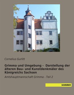 Grimma und Umgebung - Darstellung der älteren Bau- und Kunstdenkmäler des Königreichs Sachsen - Gurlitt, Cornelius