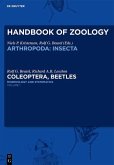 Volume 1: Morphology and Systematics (Archostemata, Adephaga, Myxophaga, Polyphaga partim) (eBook, PDF)