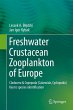 Freshwater Crustacean Zooplankton of... - Bild 1