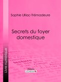 Secrets du foyer domestique (eBook, ePUB)