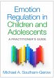 Emotion Regulation in Children and... - Bild 1