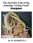 The Secretive Life of the Amazing 'Living Fossil' Scorpion