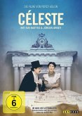 Céleste, Im Haus des Affenmalers