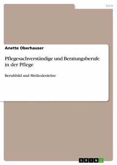 Pflegesachverständige und Beratungsberufe in der Pflege (eBook, PDF) - Oberhauser, Anette