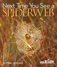 Next Time You See a Spiderweb - Morgan, Emily