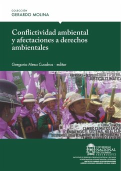 Conflictividad ambiental y afectaciones a derechos ambientales (eBook, ePUB)