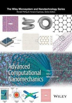 Advanced Computational Nanomechanics (eBook, PDF) - Silvestre, Nuno