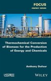 Thermochemical Conversion of Biomass for the Production of Energy and Chemicals (eBook, PDF)