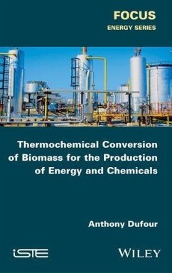 Thermochemical Conversion of Biomass for the Production of Energy and Chemicals (eBook, PDF) - Dufour, Anthony