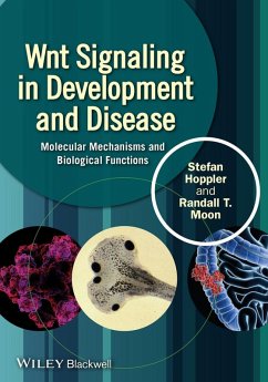 Wnt Signaling in Development and Disease (eBook, ePUB) - Hoppler, Stefan P.; Moon, Randall T.