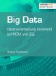 Big Data (eBook, ePUB) - Bild 1