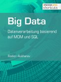 Big Data (eBook, ePUB)