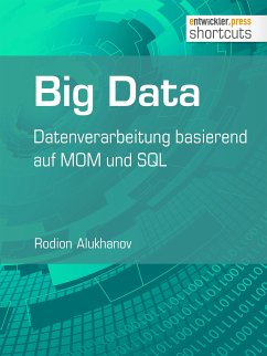 Big Data (eBook, ePUB) - Alukhanov, Rodion