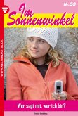 Im Sonnenwinkel 53 – Familienroman (eBook, ePUB)