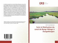 Suivi et Réalisation du canal de Bangr Wéogo à Ouagadougou - Yougang Ngamegni, Cyrille