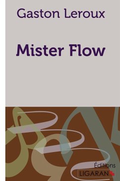 Cover Mister Flow