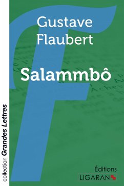 Cover Salammbô (grands caractères)
