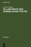 Im Labyrinth des unendlichen Textes (eBook, PDF)