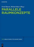 Parallele Raumkonzepte (eBook, PDF)