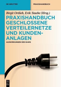 Praxishandbuch Geschlossene Verteilernetze und Kundenanlagen (eBook, ePUB)