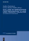 Gallien in Spätantike und Frühmittelalter (eBook, PDF)