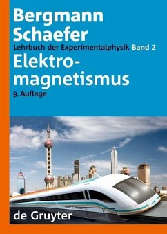 Elektromagnetismus (eBook, PDF) - Raith, Wilhelm