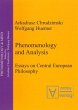 Phenomenology & Analysis (eBook, PDF) - Bild 1