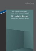 Literarische Räume (eBook, PDF)