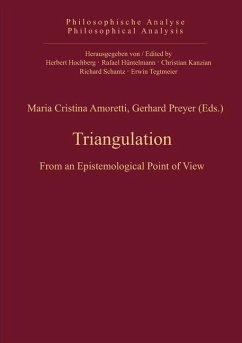 Triangulation (eBook, PDF)