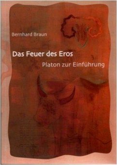 Das Feuer des Eros (eBook, PDF) - Braun, Bernhard