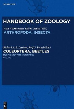 Morphology and Systematics (eBook, ePUB)