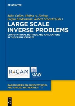 Cover Large Scale Inverse Problems (eBook, PDF)