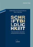 Schriftbildlichkeit (eBook, PDF)