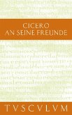 An seine Freunde / Epistulae ad familiares (eBook, PDF)