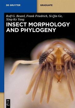 Insect Morphology and Phylogeny (eBook, PDF) - Beutel, Rolf G.; Friedrich, Frank; Yang, Xing-Ke; Ge, Si-Qin