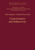 Consciousness and Subjectivity (eBook, PDF)