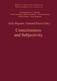 Consciousness and Subjectivity (eBook, PDF)