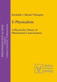 E-Physicalism (eBook, PDF)