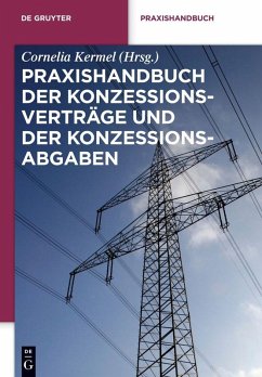 Cover Praxishandbuch der Konzessionsverträge und der Konzessionsabgaben (eBook, PDF)