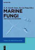 Marine Fungi (eBook, PDF)