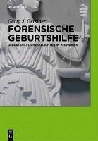 Forensische Geburtshilfe (eBook, PDF) - Gerstner, Georg J.