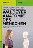 Waldeyer - Anatomie des Menschen (eBook, PDF)