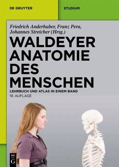 Cover Waldeyer - Anatomie des Menschen (eBook, PDF)