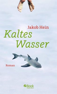 Kaltes Wasser (eBook, ePUB) - Hein, Jakob