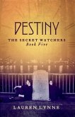 Destiny (eBook, ePUB)